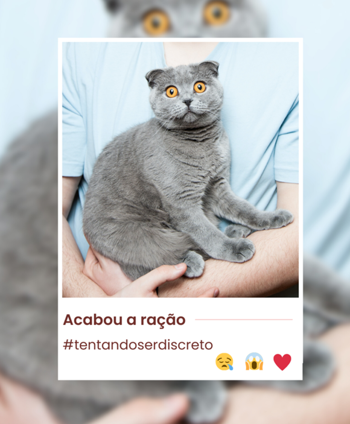 Gato de desenho animado chateado, com caixas vazias de ração e ícones de redes sociais ao fundo, representando a necessidade de um pet shop.